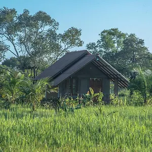 https://habarana-farm-cottage.kandyhotelsnow.com